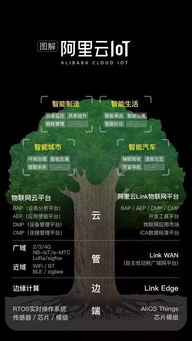 從馬老師到張勇 阿里巴巴的傳承計劃與數據服務新藍圖